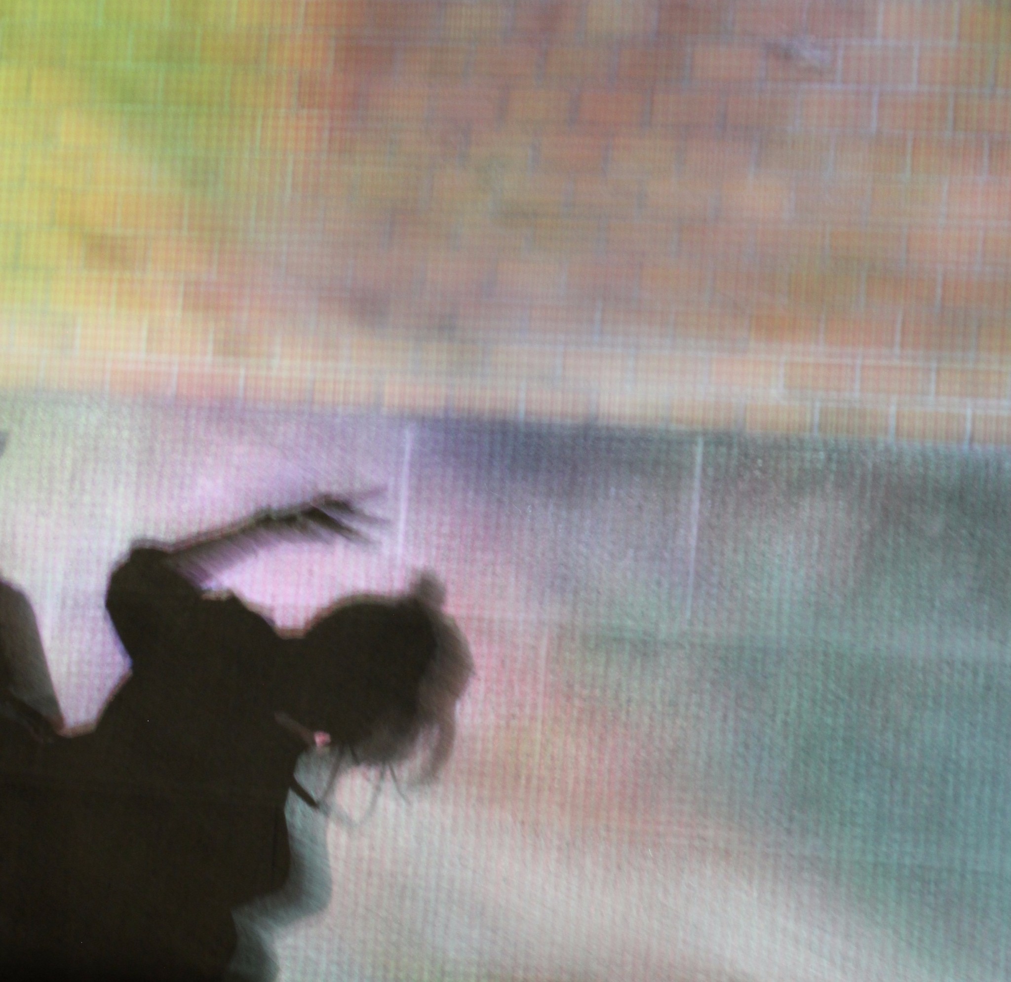 颓什么飒成语_啾飒是什么(3)