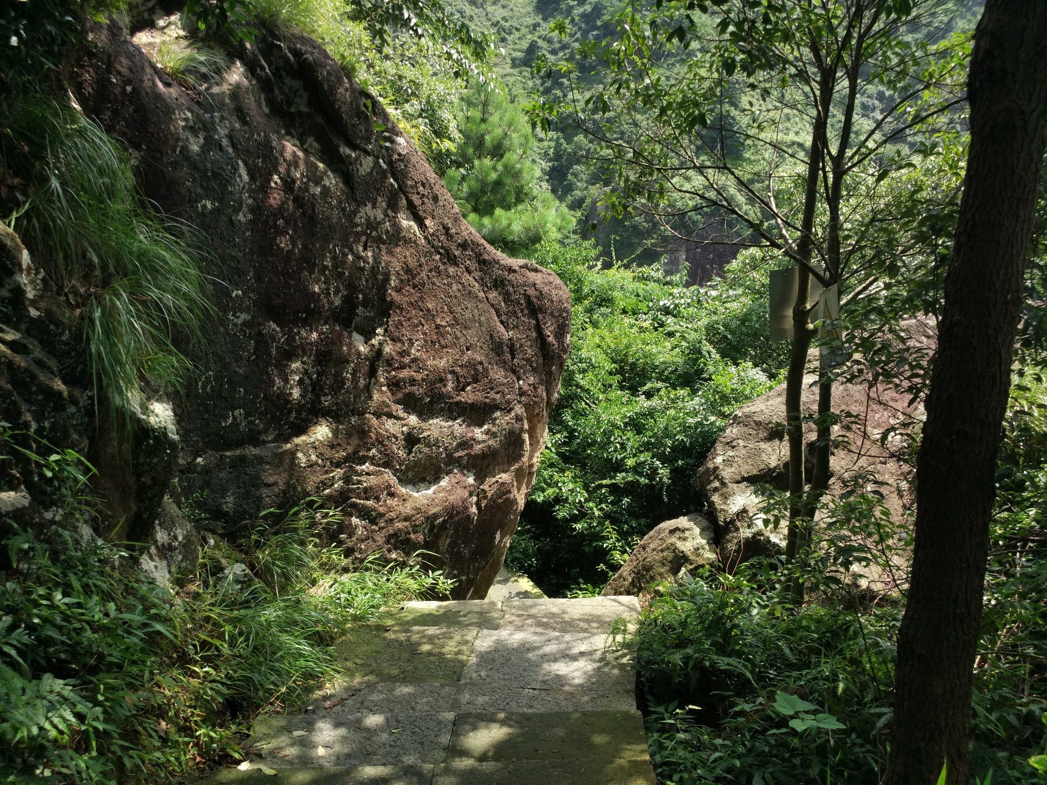 无心插柳——游台州黄岩九峰公园