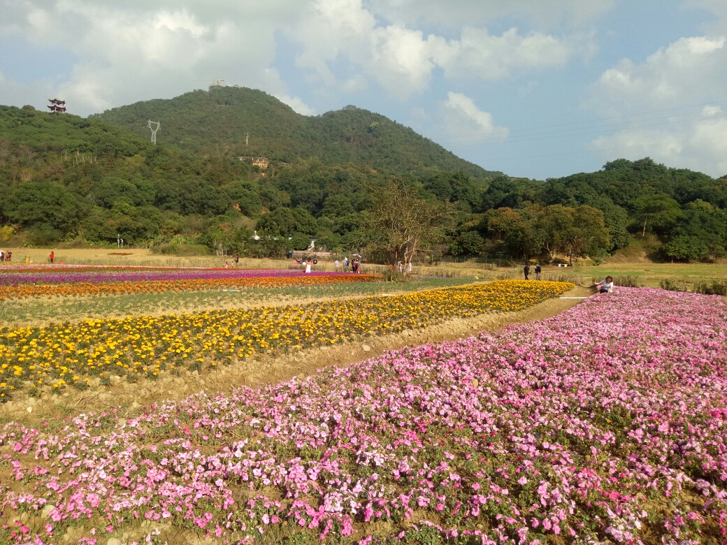 东莞清溪大王山