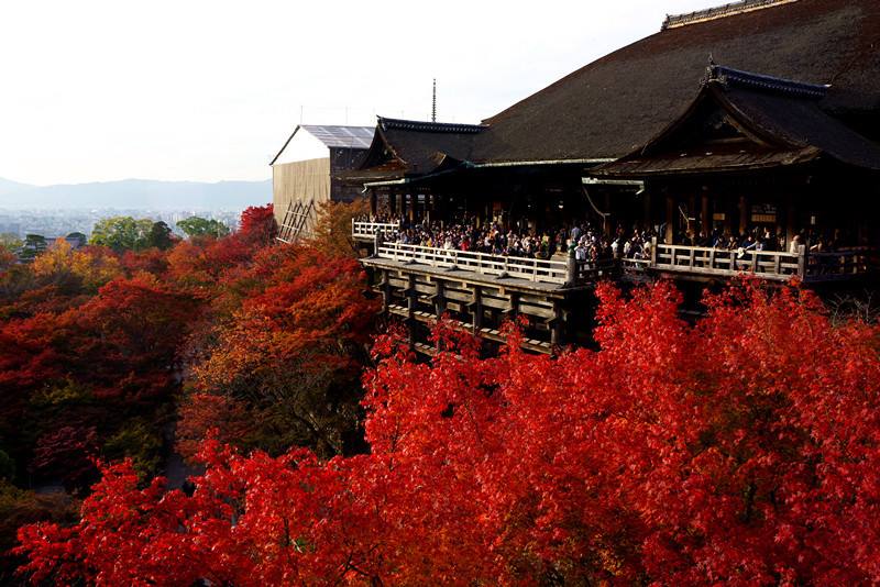 游记 我在京都清水寺的和服体验记 京都旅游攻略 马蜂窝