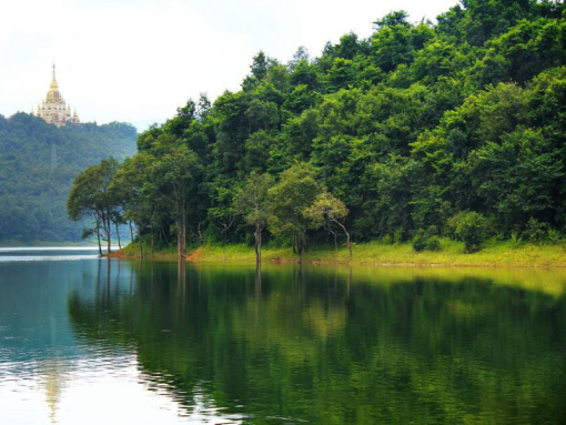 云南德宏芒市勐焕大金塔 勐巴娜西珍奇园 傣王宫民族风情1日游