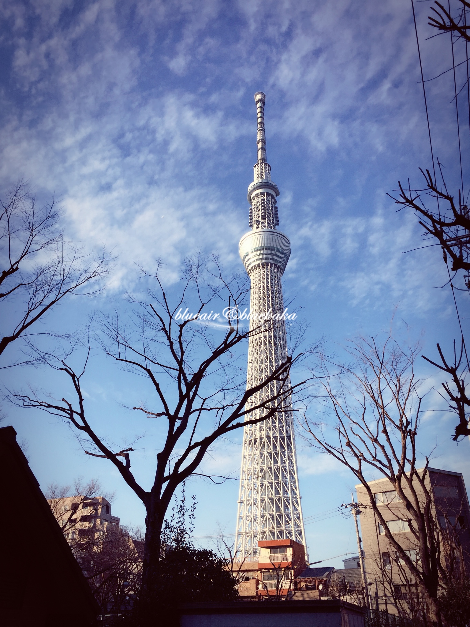 平成28年的城市游行-东京跨年7日自由行-满满