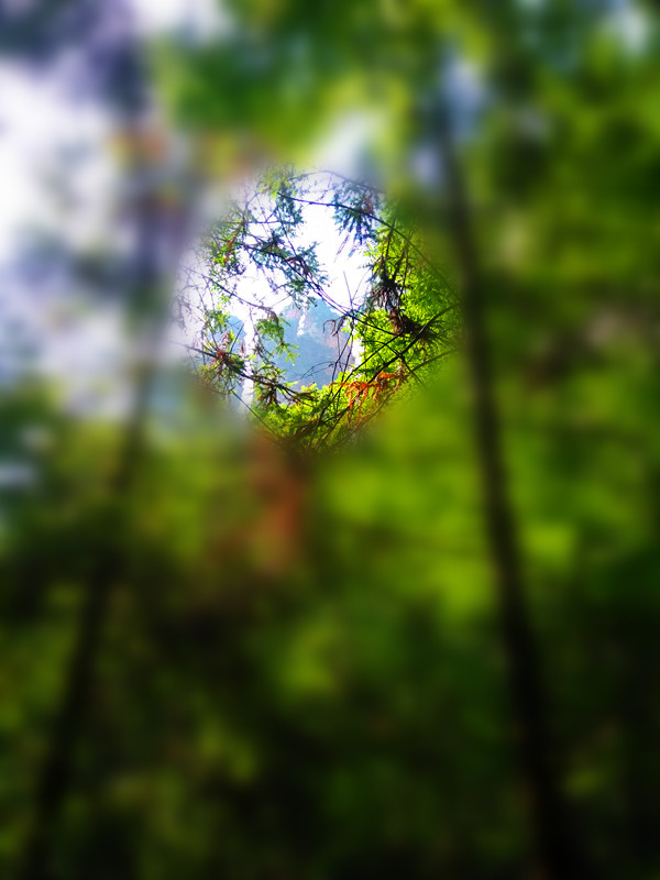 鱼虎云一猜一成语大全_一图一成语猜答案大全