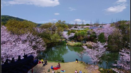 长沙浔龙河樱花谷门票