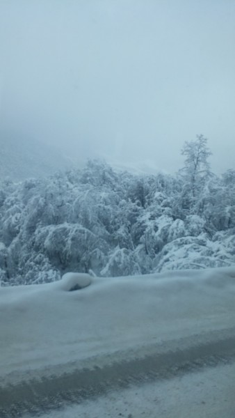 西岭雪山什么时候去好 wKgBZ1jAwUKADyfFAAQiWlUAABU89.jpeg?imageView2%2F2%2Fw%2F600%2Fh%2F600%2Fq%2F90