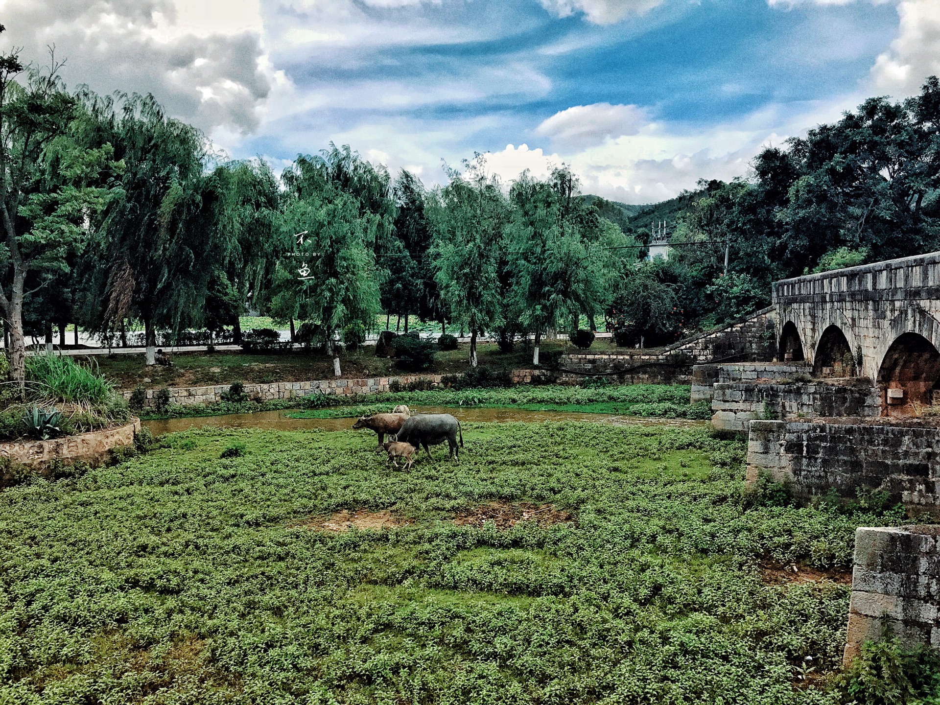 建水团山村         