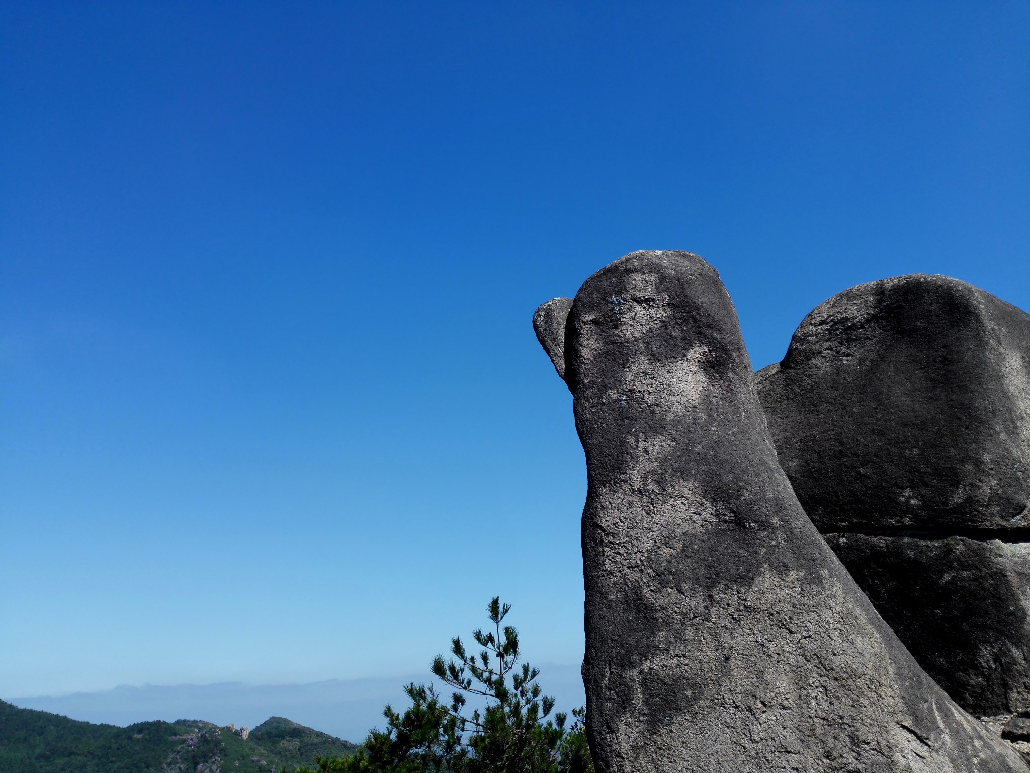 2016国庆浙闽四山五日自驾游之三——玉苍山国家森林公园4a