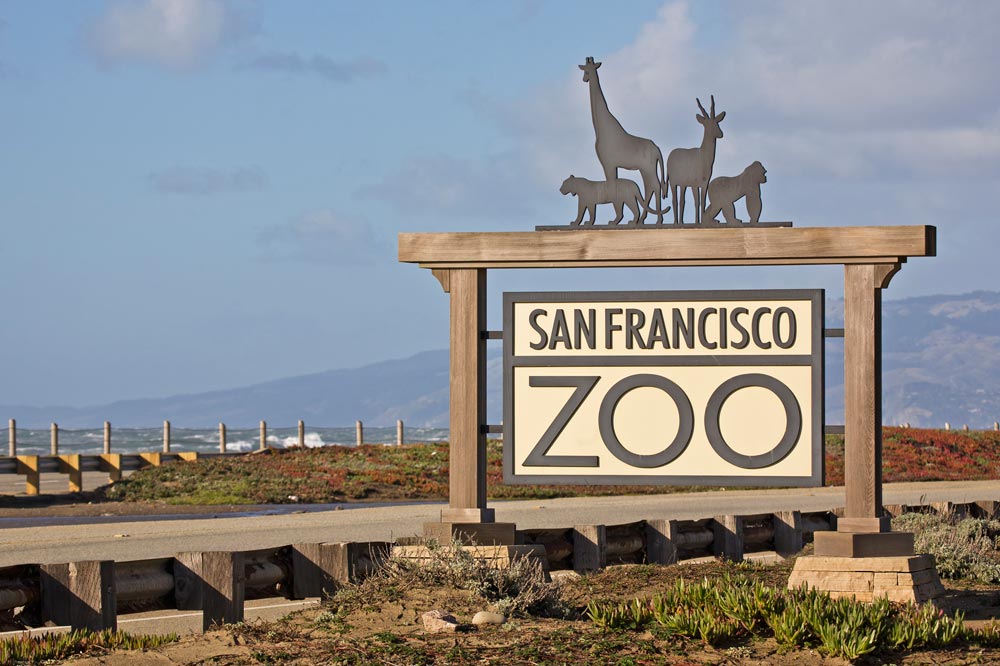 旧金山动物园san francisco zoo电子门票 家庭出游圣地