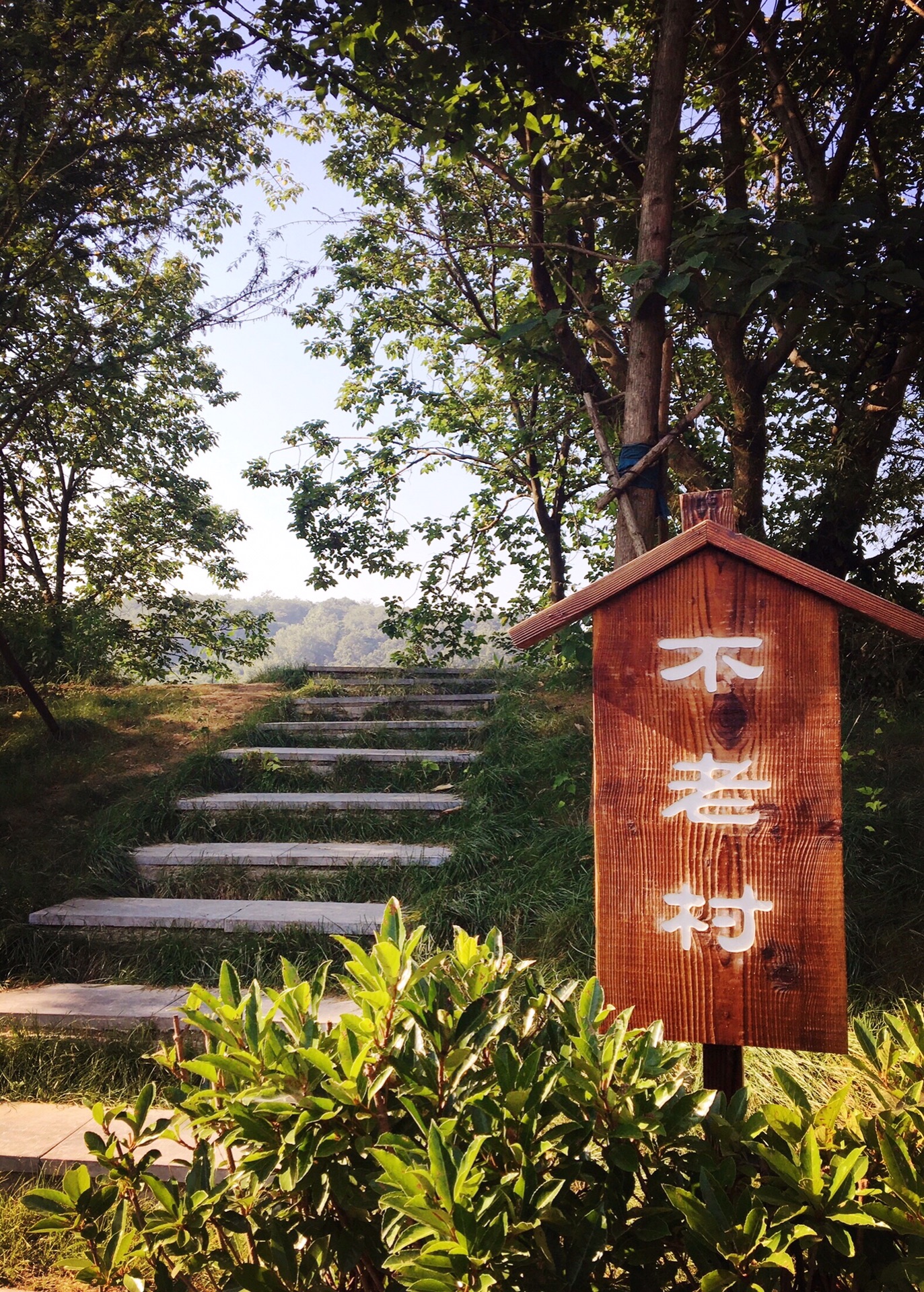 南京——去邻居家串串门(老山不老村,浦口火车站,欧舒丹cafe,深夜食堂