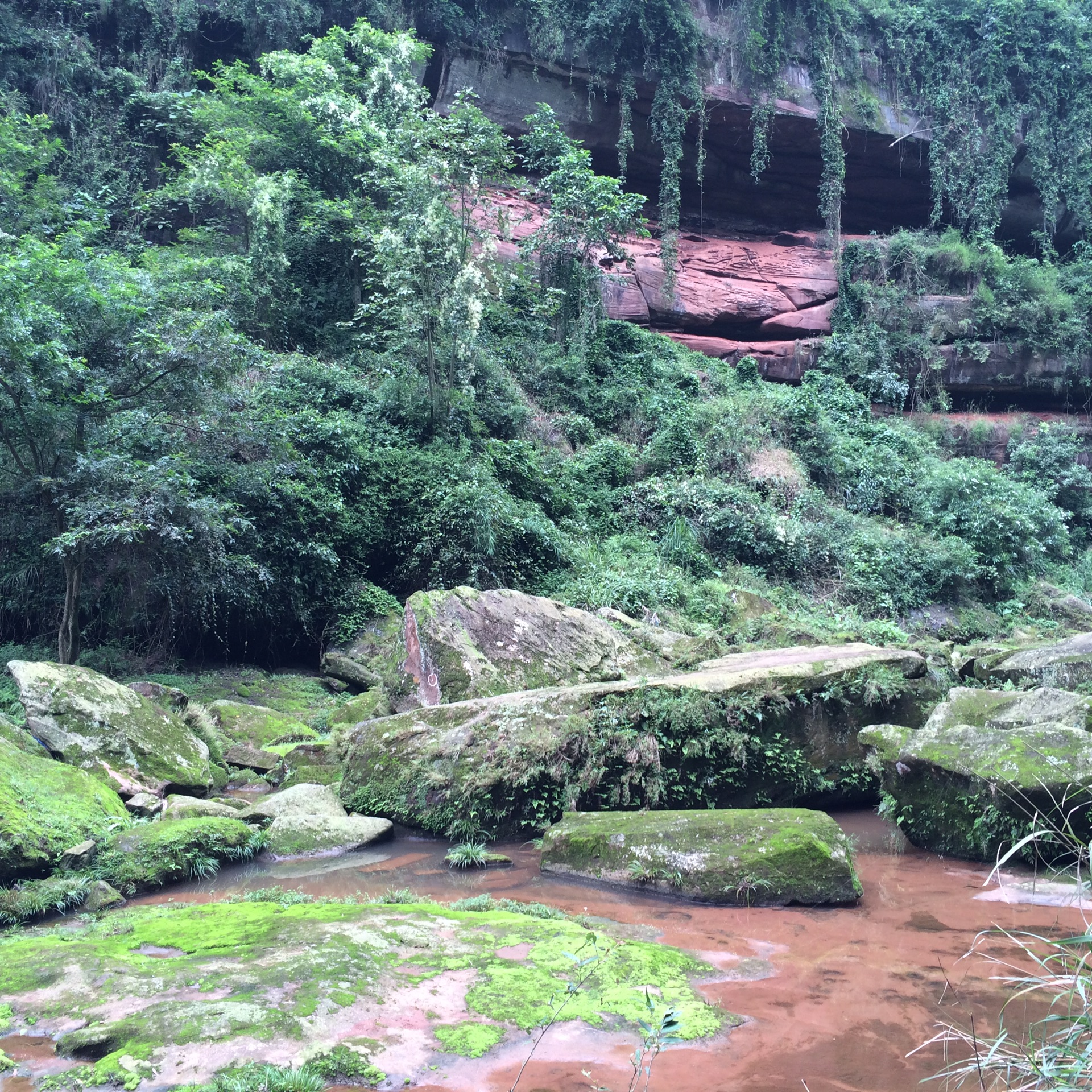 9.24丹棱黄金峡,丹棱县旅游攻略 - 马蜂窝