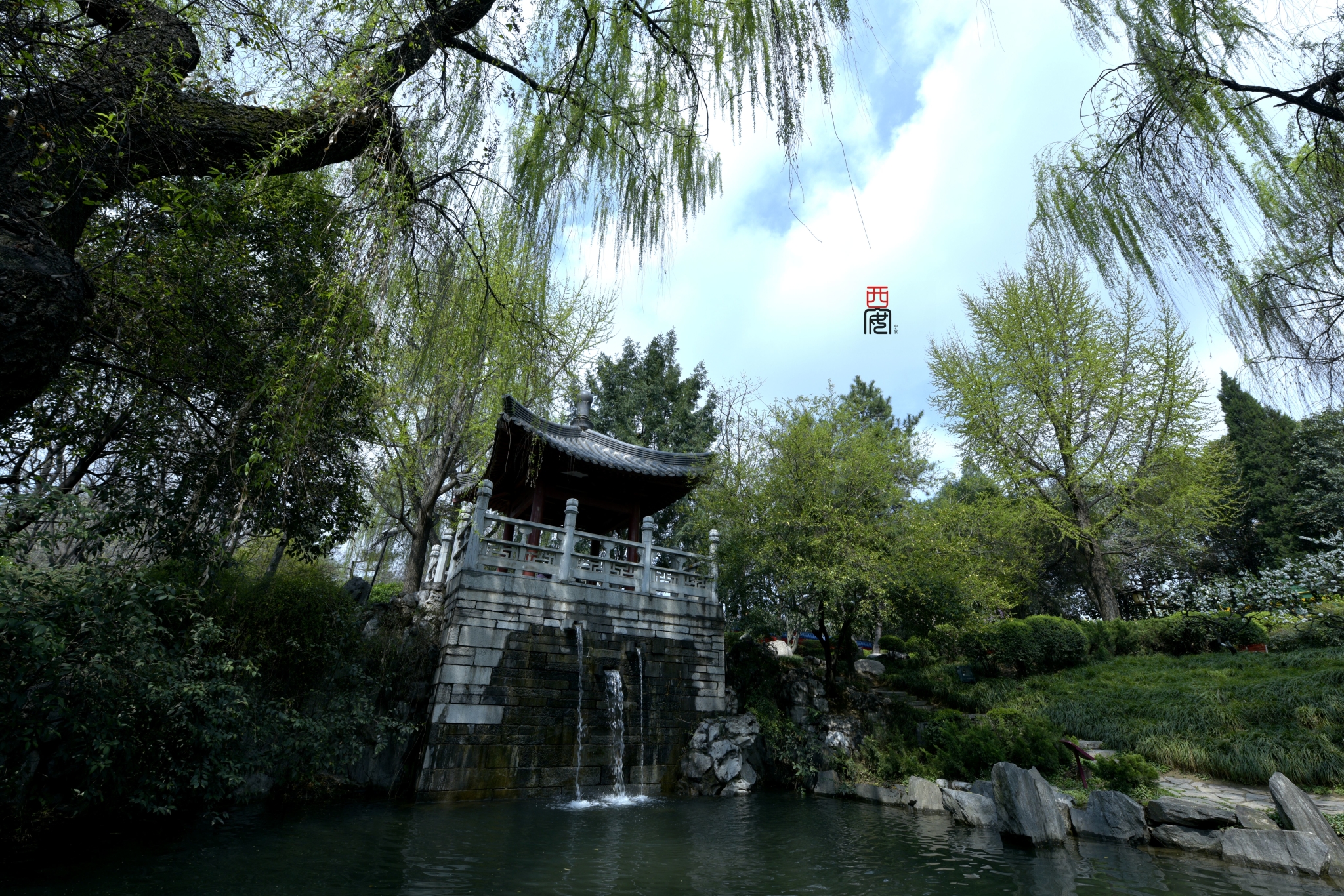 西安看樱花,来这两座寺庙