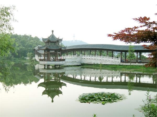 行程路线以及最近天气情况