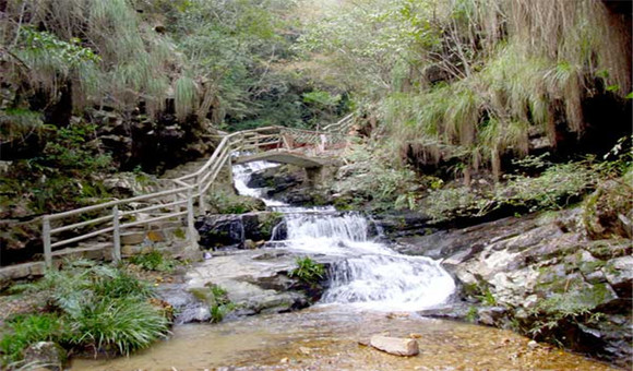 武夷山 龙井山景区门票(探访原生态/亲近大自然)