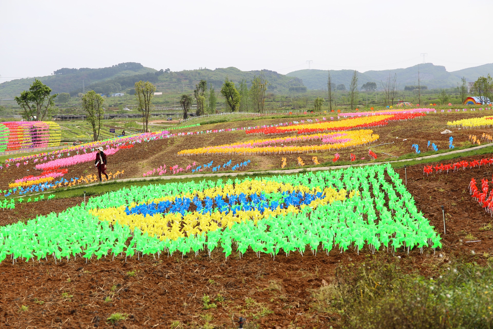 观富川神仙湖花海风车节