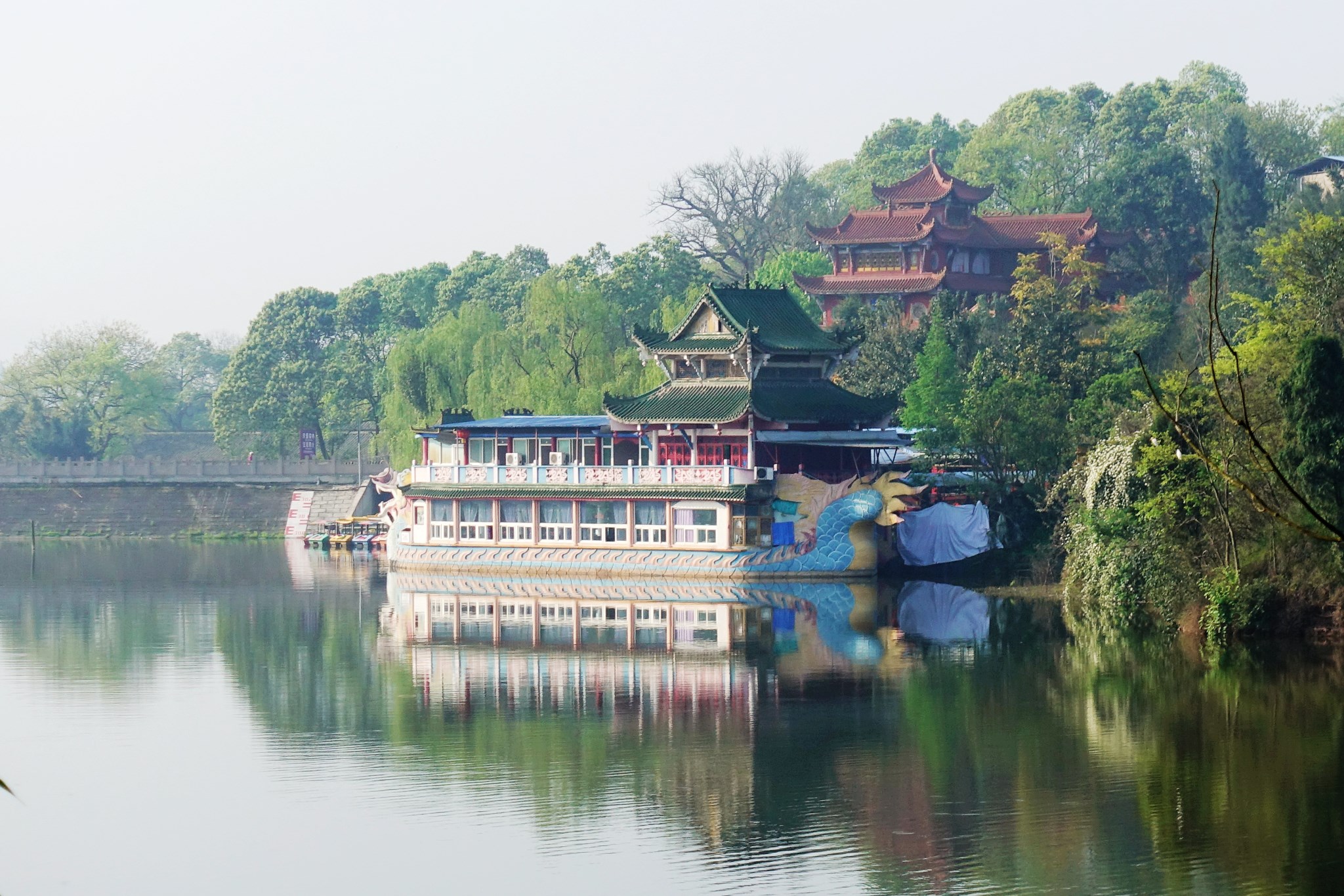 卧龙山风景区 白雀 