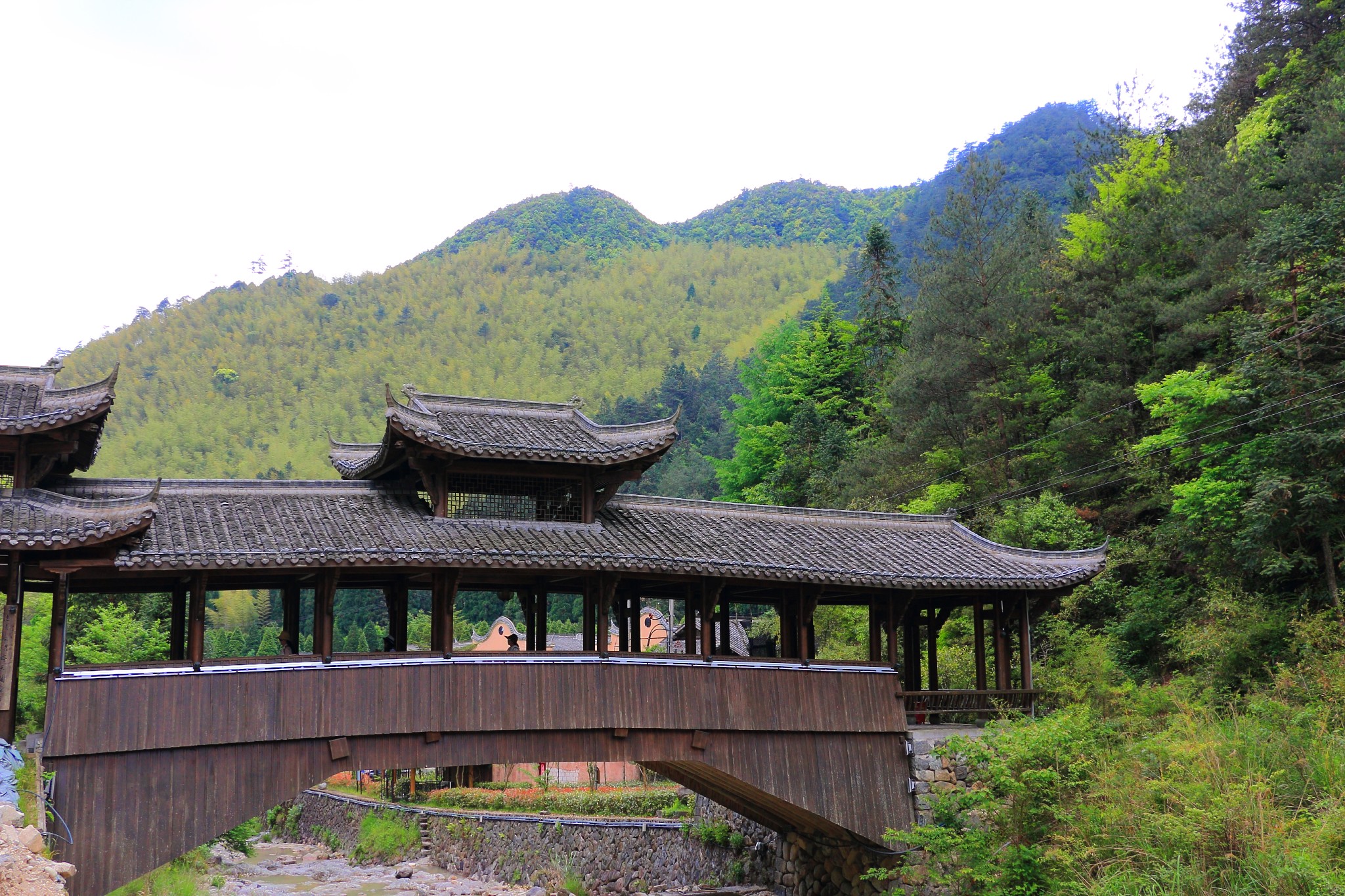 探秘"百山祖",庆元旅游攻略 - 马蜂窝