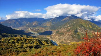 米林雅鲁藏布大峡谷门票