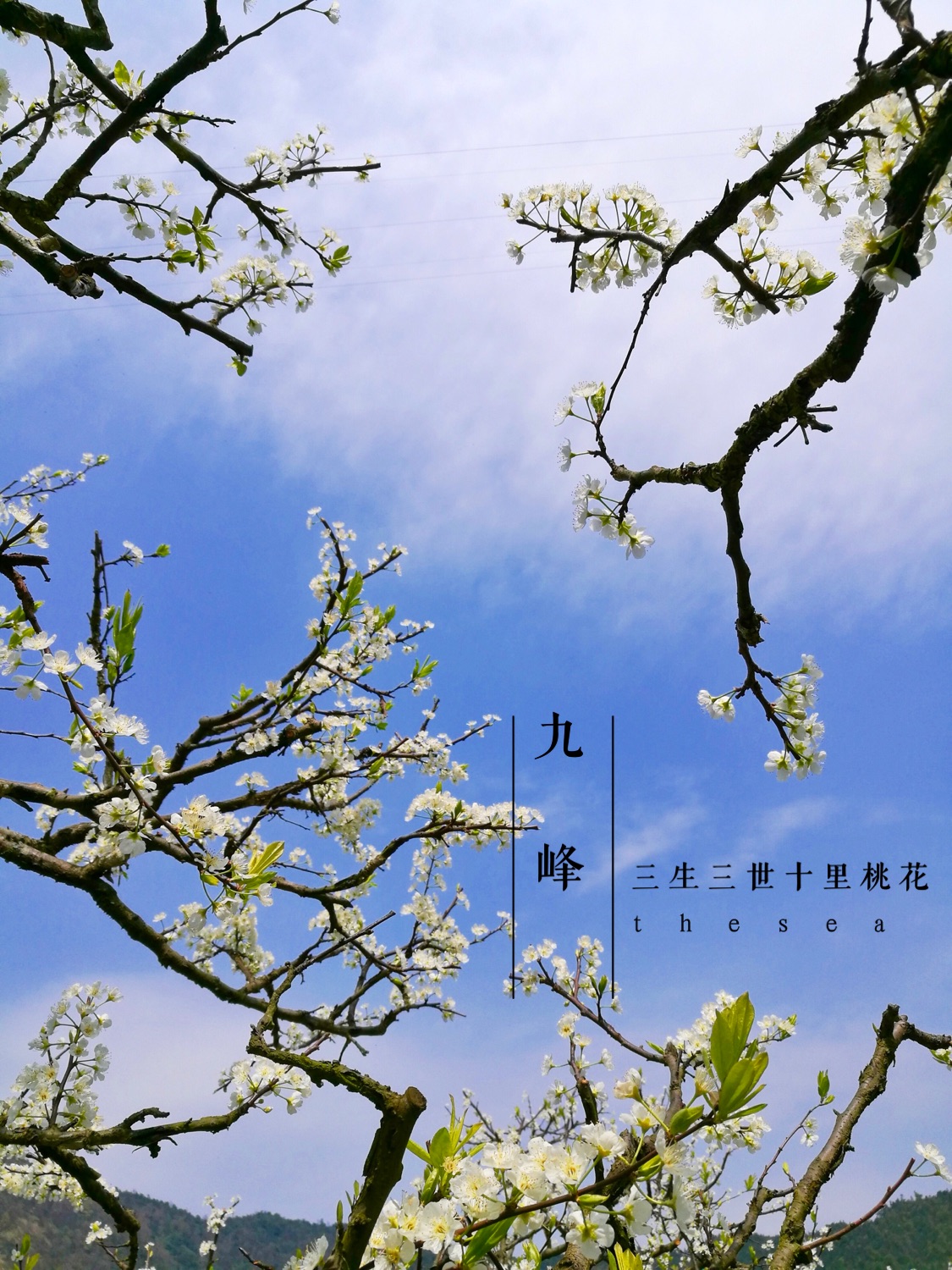 三月三桃花开简谱_你像三月桃花开简谱(3)