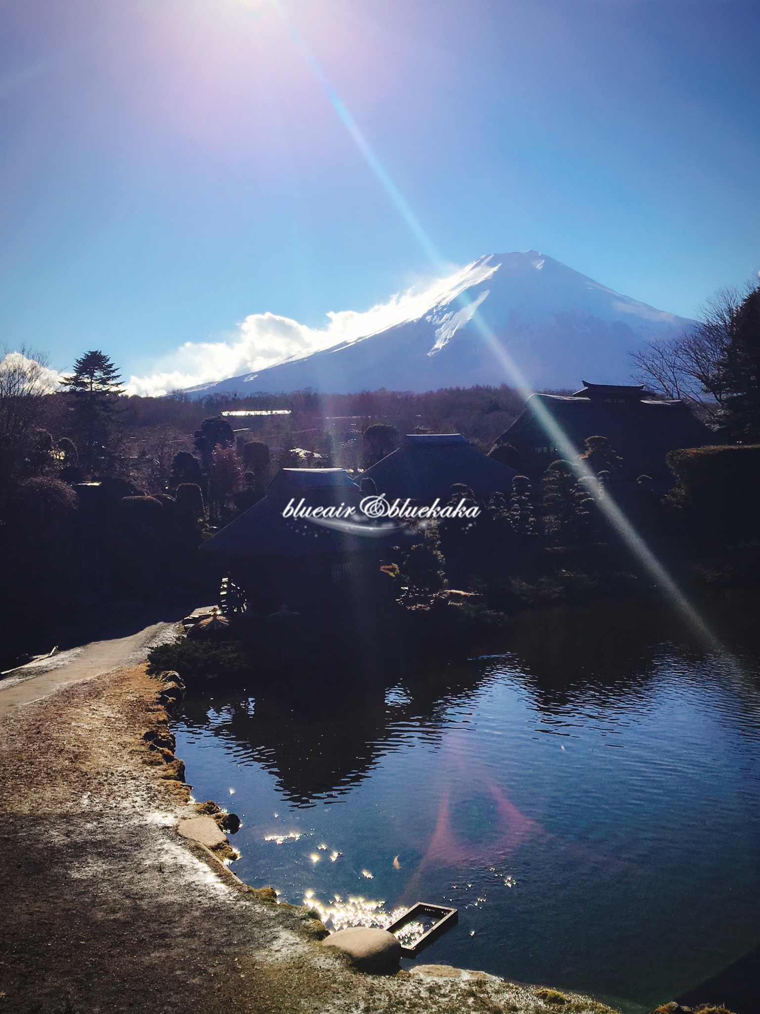 平成28年的城市游行-东京跨年7日自由行-满满