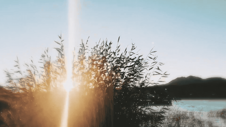 680_383gif 动态图 动图