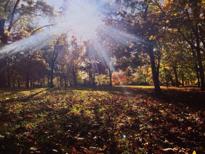 匈牙利天气怎么样