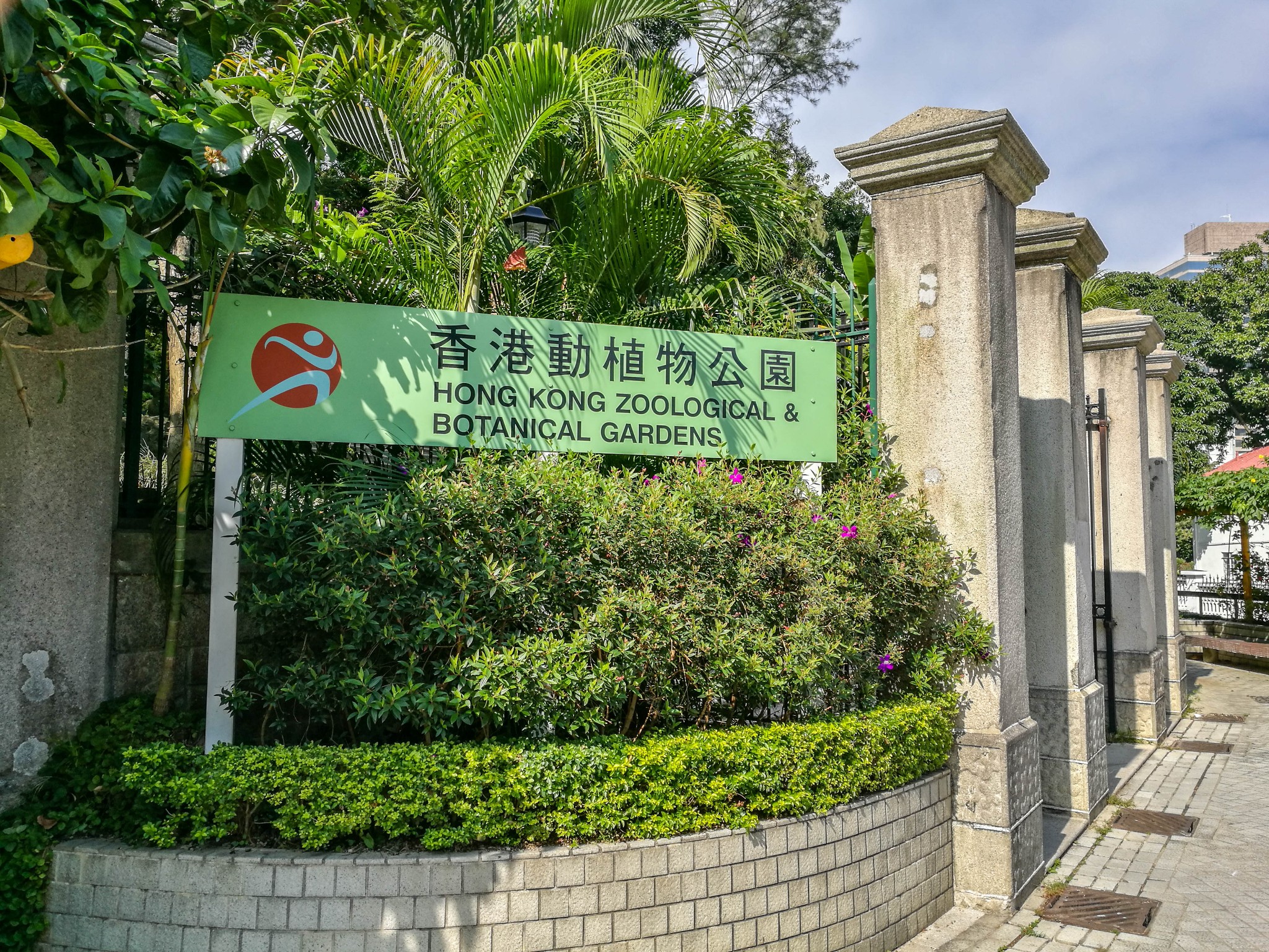 闹市中,有一片动植物的天堂——香港公园&香港动植物公园半日游