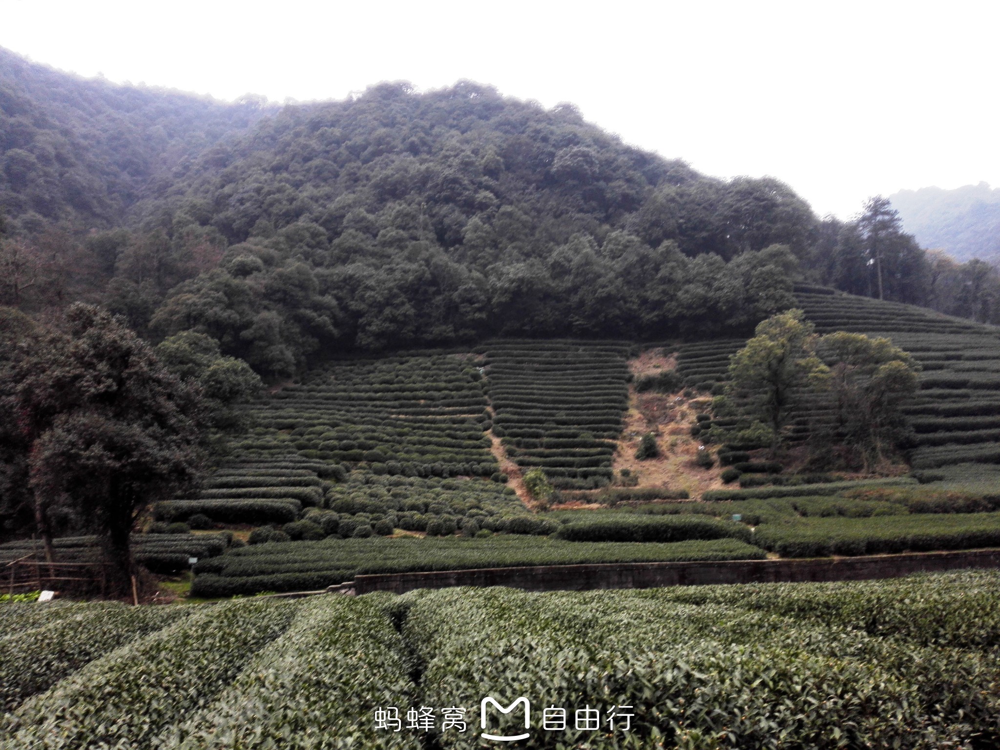 杭州市有多少人口2017_杭州市萧山区有几个镇