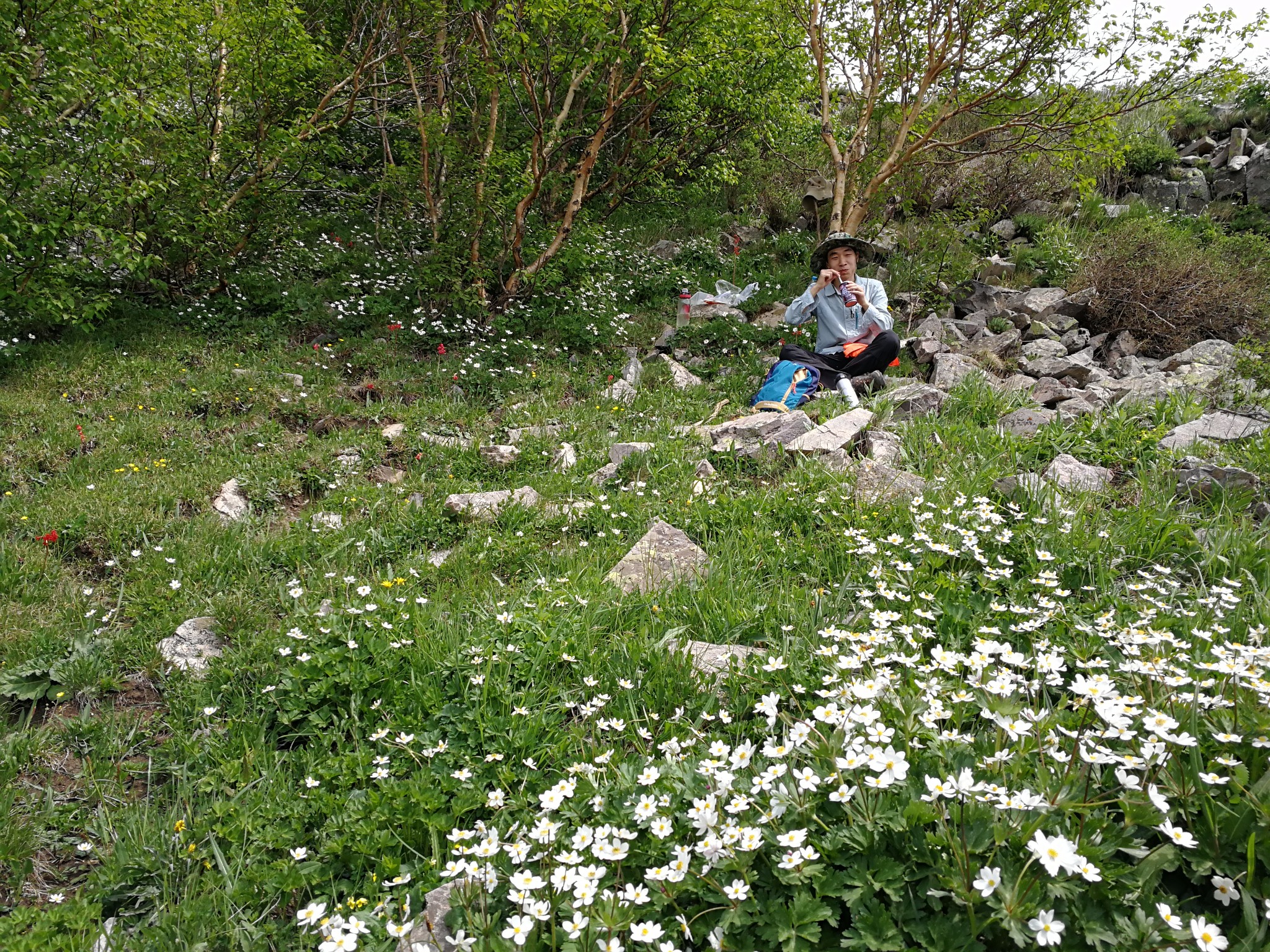 wKgBZ1lA--KAfAzEABnXo0er56k06.jpeg?imageView2%2F2%2Fw%2F600%2Fh%2F600%2Fq%2F90