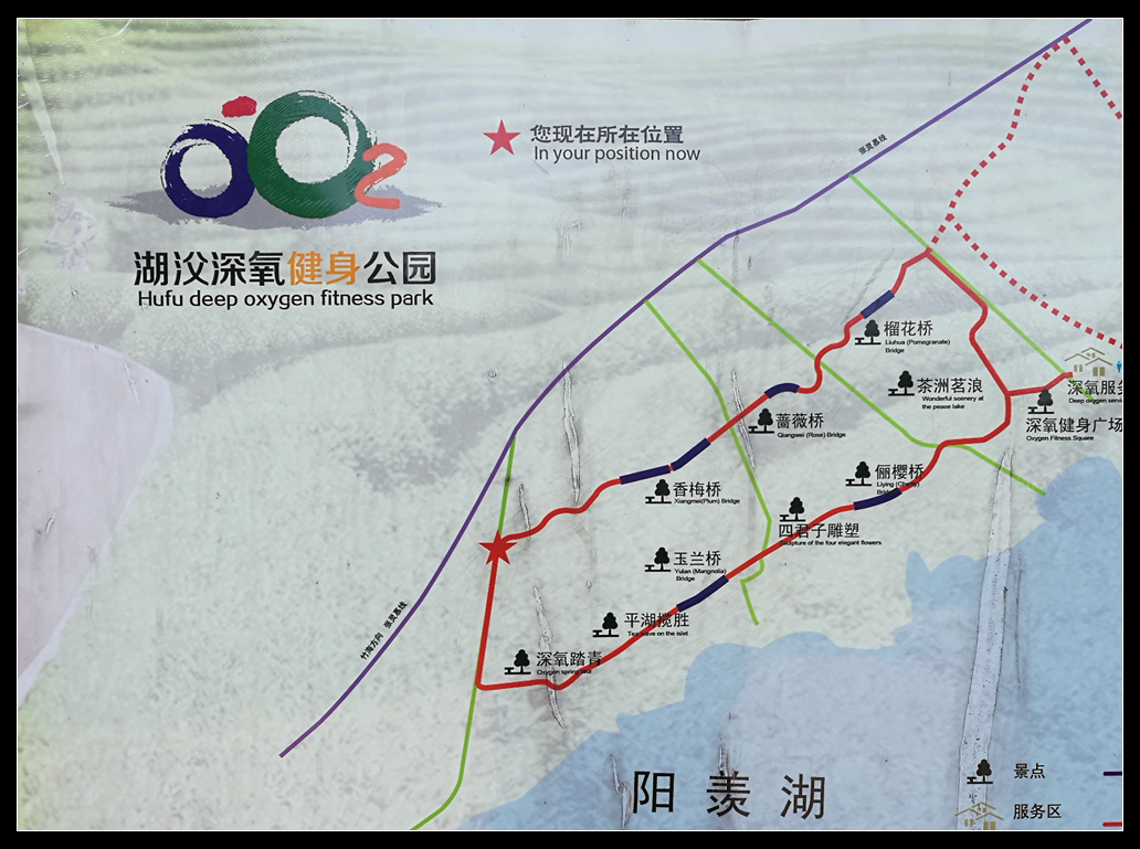 湖父镇GDP_杏坛镇gdp数据图