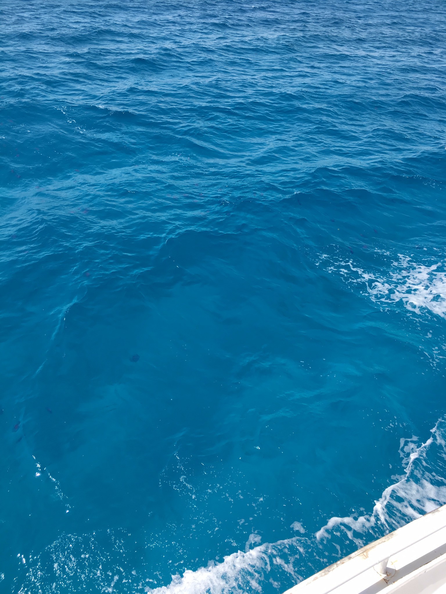 wKgBZ1lnGYeAL3LsAArHJqp0L2Q07.jpeg?imageView2%2F2%2Fw%2F600%2Fh%2F600%2Fq%2F90