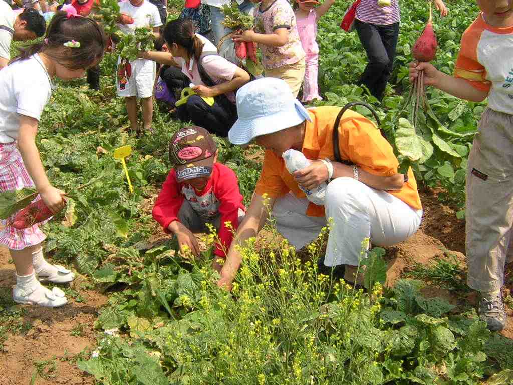 脍炙人口蚂蚁农场_脍炙人口图片(2)