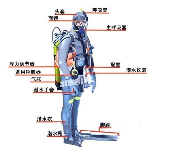 每天学点潜水知识|水肺系统,bcd(浮力调整装置),调节器,气瓶,配重系统