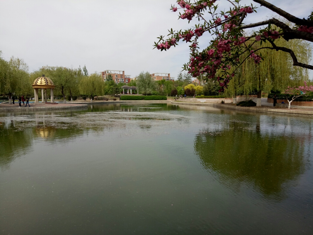 2018-4-24河北廊坊燕郊公园之春,廊坊旅游攻略 - 马