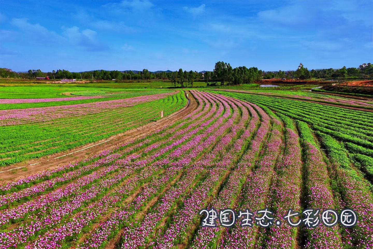 2018-3-16 建国生态 七彩田园