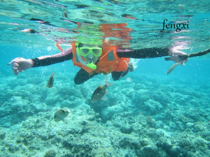 西沙群岛旅游什么时候去最好