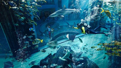 迪拜亚特兰蒂斯水上冒险乐园 失落的空间水族馆(极速出票 亲子玩嗨