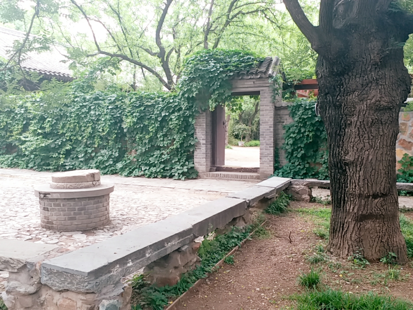 半日游/北京植物园/曹雪芹纪念馆