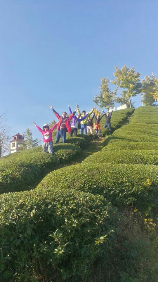 wKgBEFpewfqAHPGMAARvZn1GrR476.jpeg?imageView2%2F2%2Fw%2F600%2Fh%2F600%2Fq%2F90