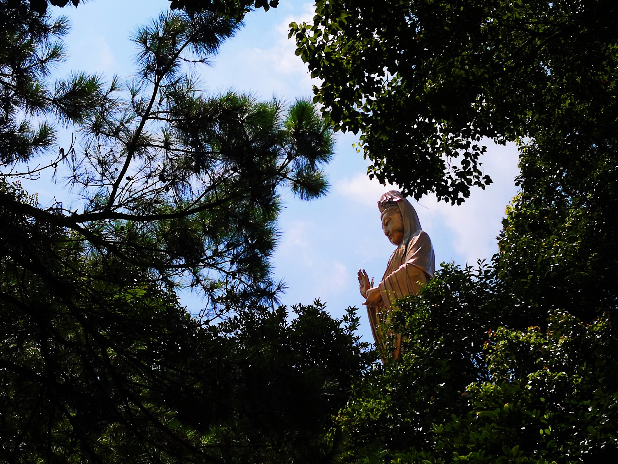 一天时间可以拜完普陀山三大寺庙和洛迦山并且