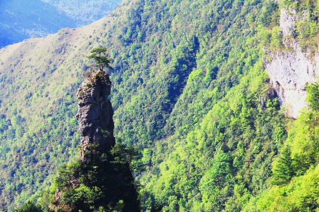 达州万源市八台山门票 套票含大门票 景区往返交通