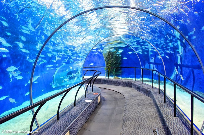 【蜂向标】上海海洋水族馆/景区联票(观赏各种海洋生物/漫步海底隧道