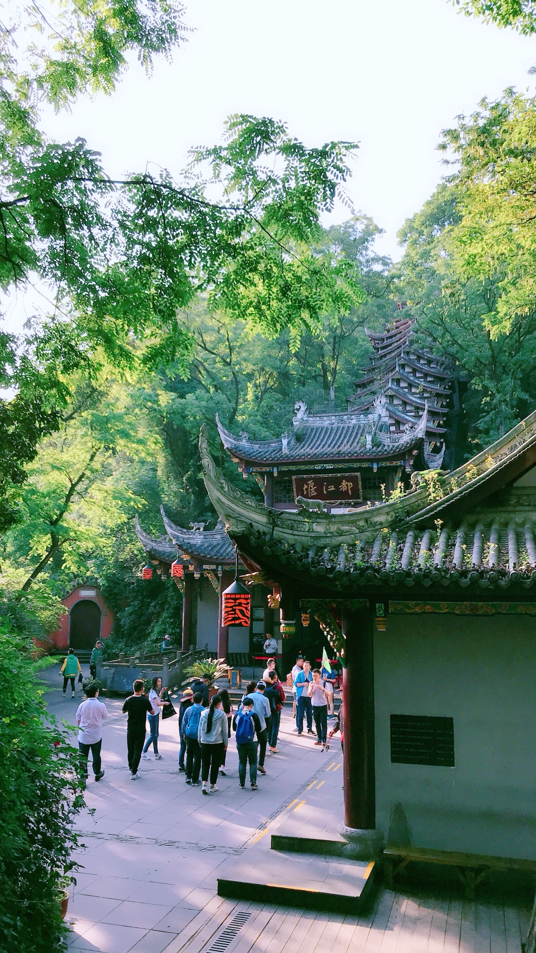走马观花识蓉城-成都两日游