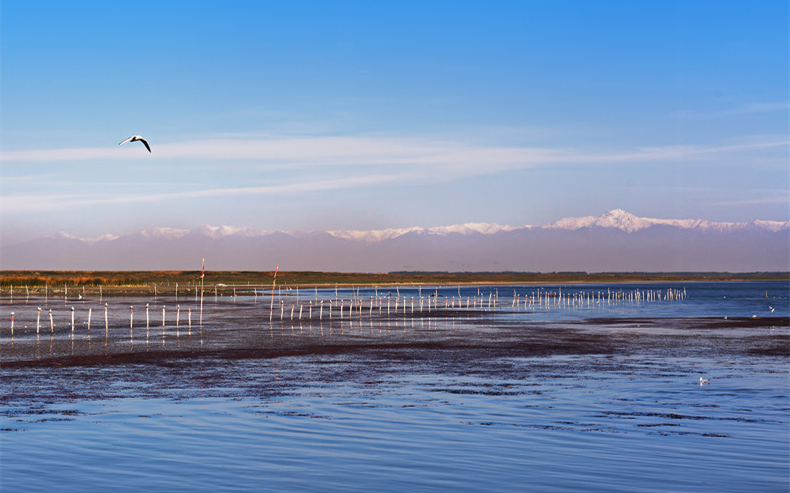 wKgBEFqntkaAKmt_AAoViCrlEn4729.png?imageView2%2F2%2Fw%2F510%2Fh%2F8000%2Fq%2F100