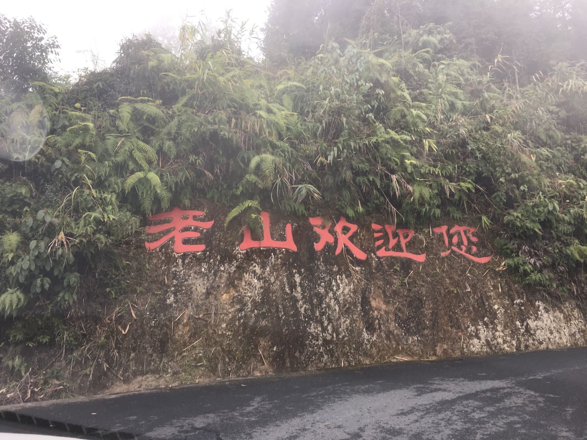 一种特殊的情怀——麻栗坡,老山游记