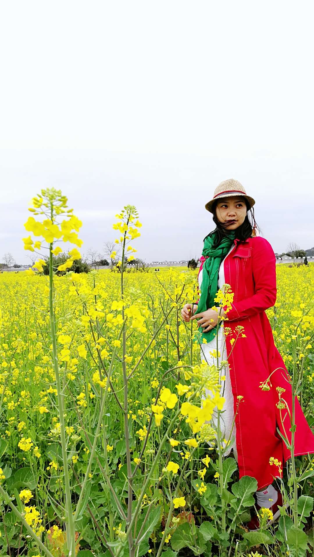 双江一日梦回千年,我在最美的油菜花海里轻舞