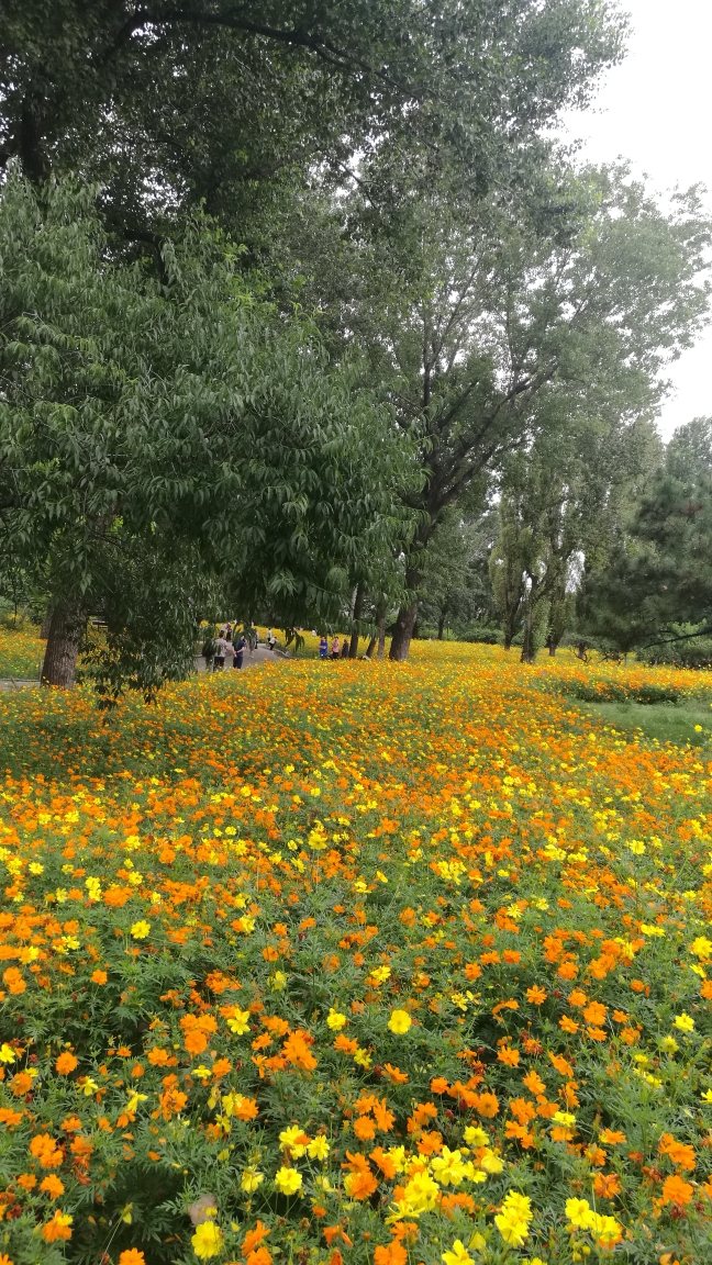 北京夏末初秋-植物园