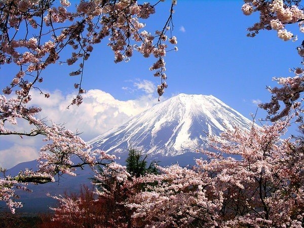 wKgBEFtpak6AaYjbAANo5J1pmBI90.jpeg?imageView2%2F2%2Fw%2F600%2Fh%2F600%2Fq%2F90