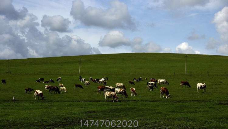 呼伦贝尔一般什么时候去最好