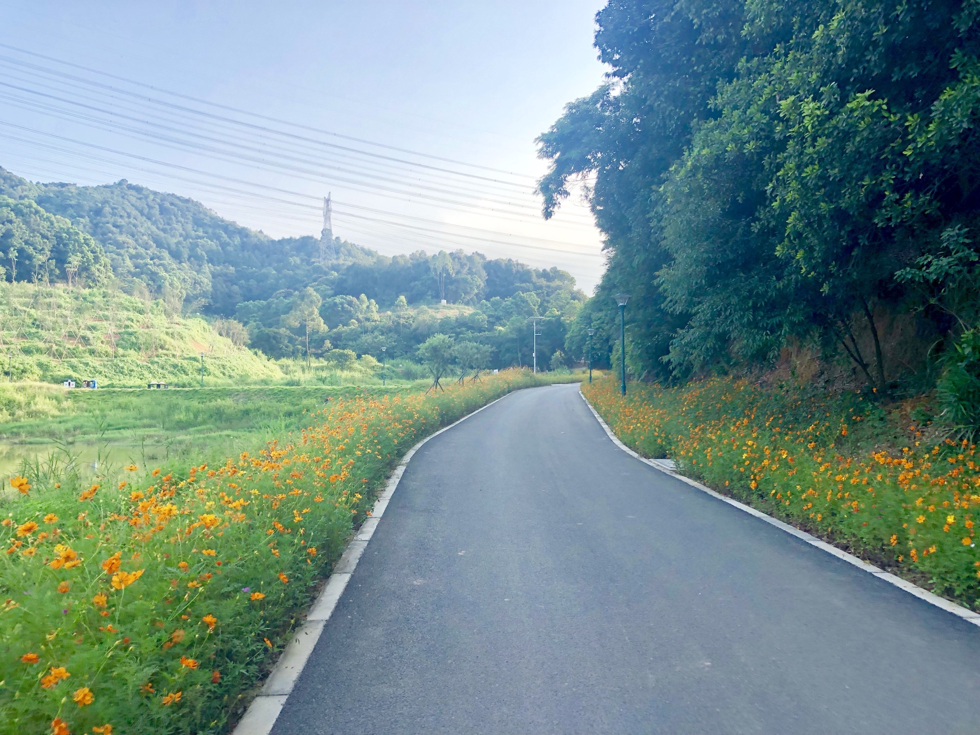 深圳罗田森林公园的面貌