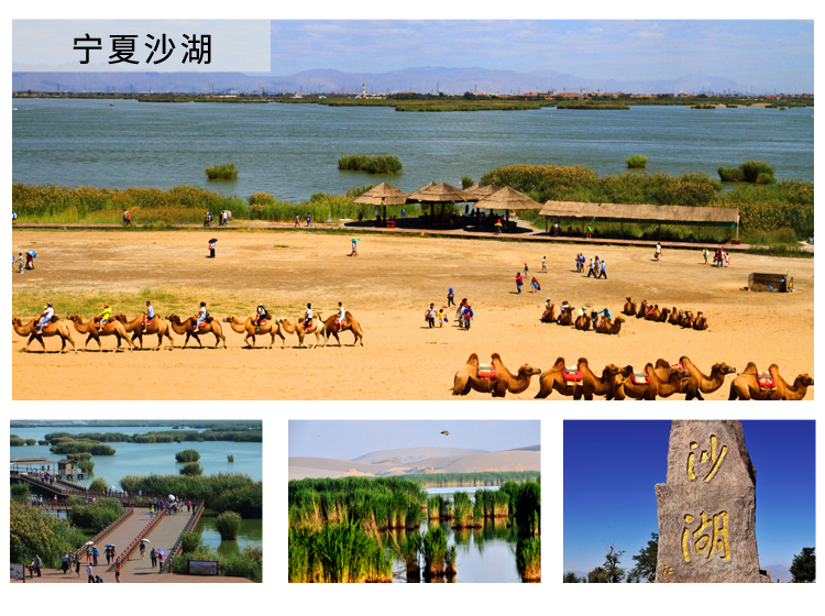 初见宁夏·沙湖 贺兰山岩画 西部影视城 西夏王陵深度